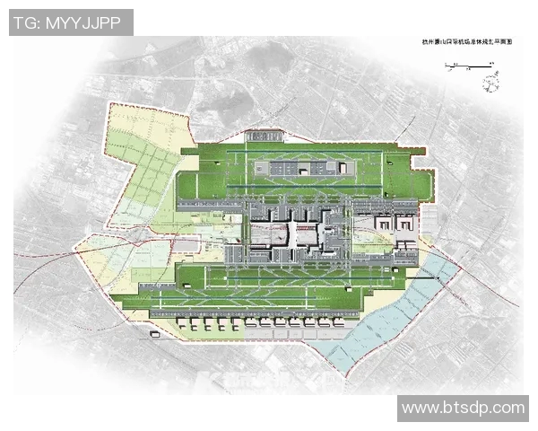 杭州乒乓球队状态分析与未来发展方向的深入探讨