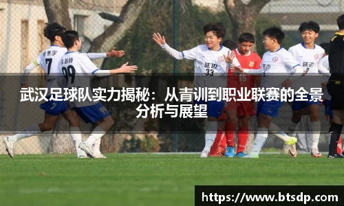 武汉足球队实力揭秘：从青训到职业联赛的全景分析与展望