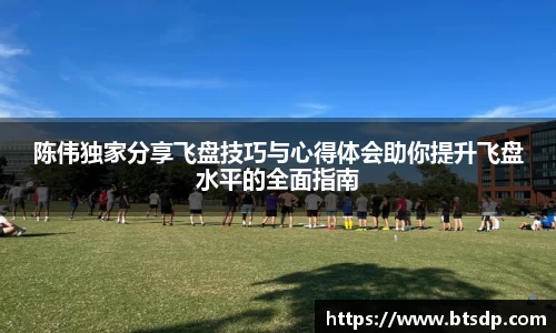 陈伟独家分享飞盘技巧与心得体会助你提升飞盘水平的全面指南